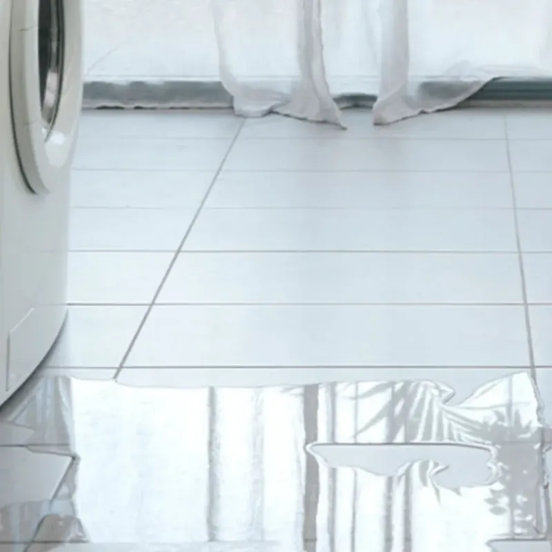 Appliance Leak Cleanup in Fowler, CA